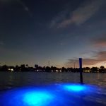 Loomis LED 40 LED Blue Shallow Water Dock Lights